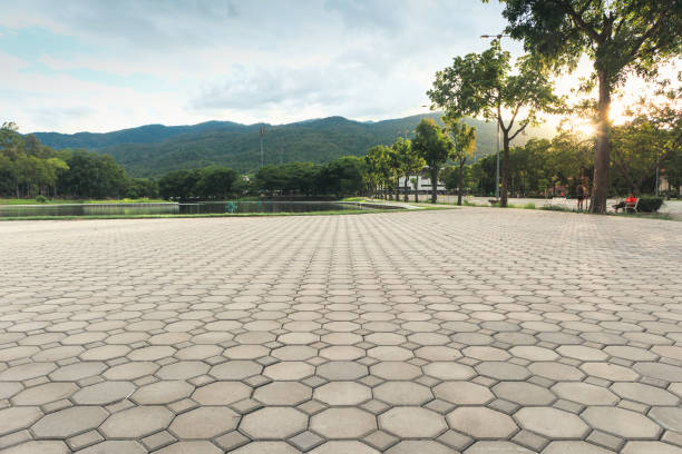 Professional Driveway Pavers in Baywood Park, CA