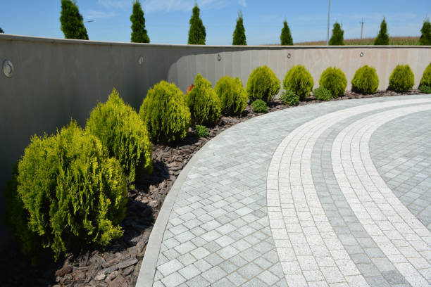 Best Professional Driveway Pavers  in Baywood Park, CA